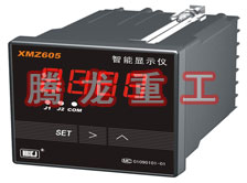 溫度表、數(shù)字顯示儀、濕度表