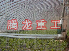 大棚花卉供暖設(shè)備、大棚卉采暖設(shè)備、大棚花卉取暖設(shè)備