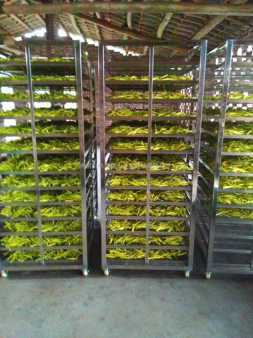黃花菜烘干機(jī)、黃花菜烘干設(shè)備、黃花菜干燥機(jī)、黃花菜干燥設(shè)備、